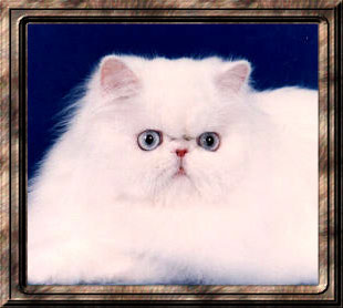 GC, RW CrystalBluPursuasion